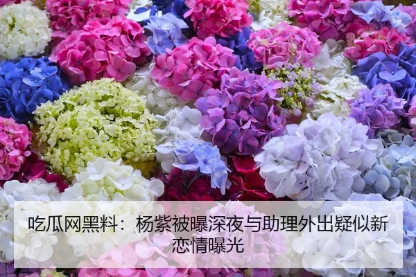 吃瓜网黑料：杨紫被曝深夜与助理外出疑似新恋情曝光